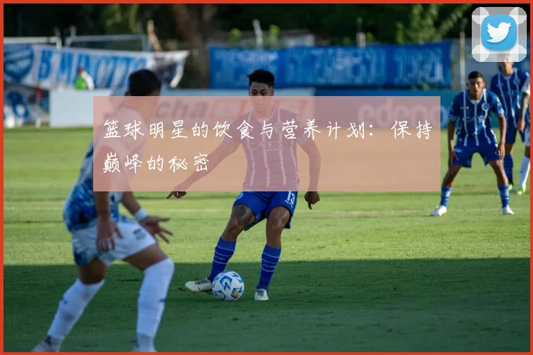 篮球明星的饮食与营养计划:保持巅峰的秘密