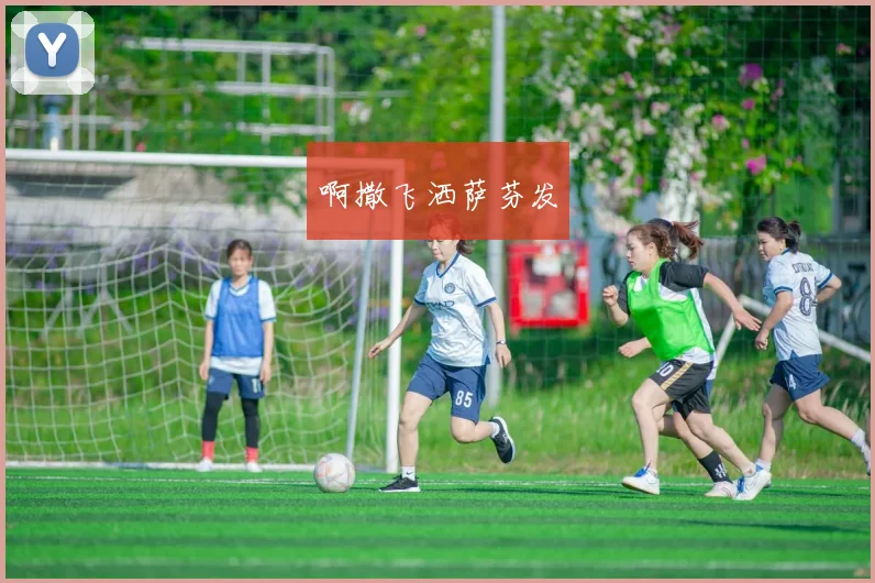 CBA伤病报告：球员健康对球队战绩的影响